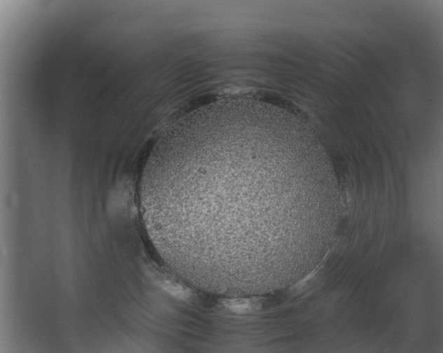 X0000067930187200604201506