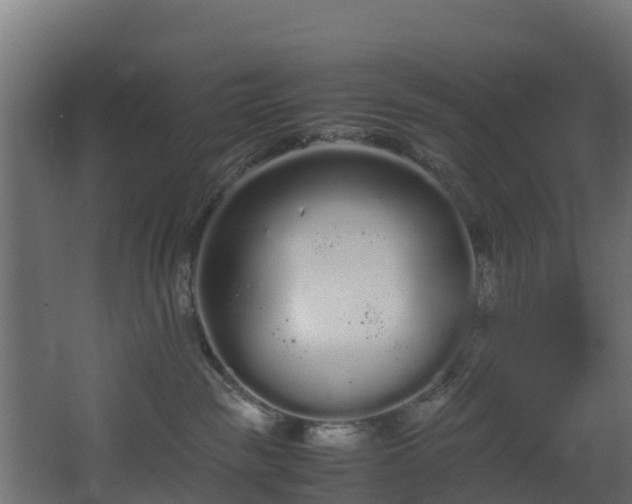 X0000067930189200604201506