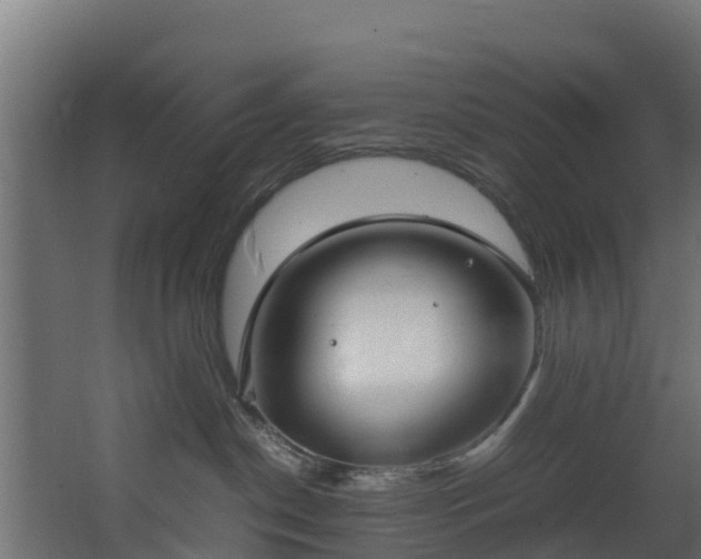 X0000067930190200604201506