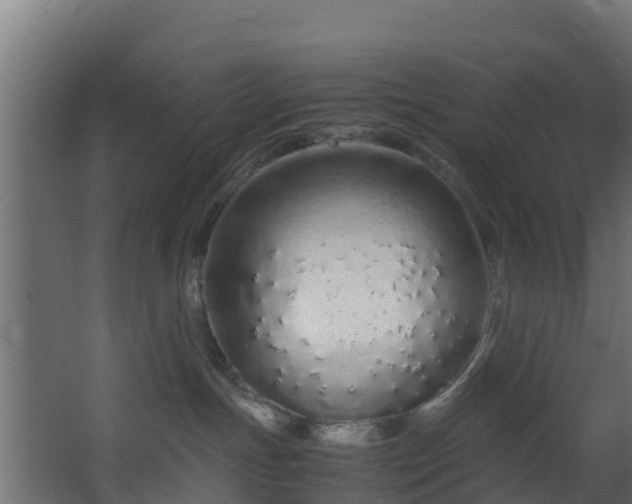 X0000067930191200604201506