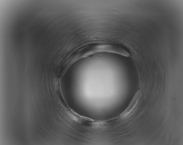 X0000067930192200604201506