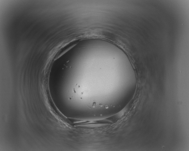 X0000067930193200604201505