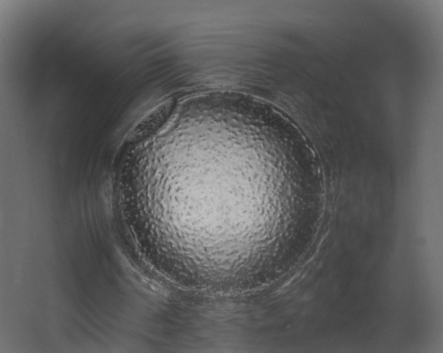 X0000067930194200604201505