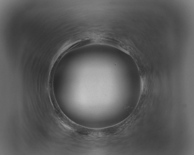 X0000067930195200604201505