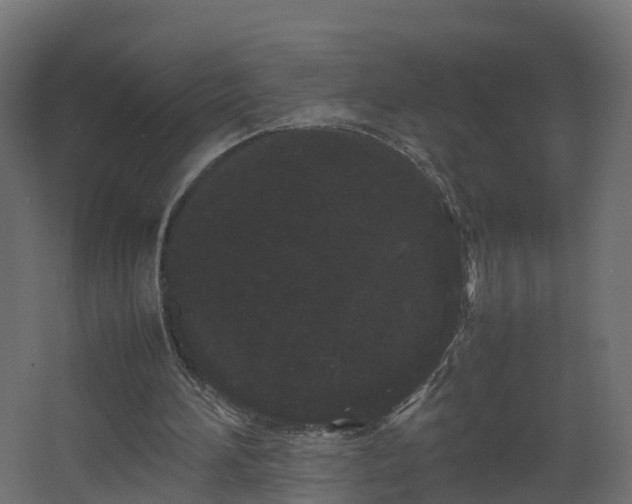 X0000067930196200604201505