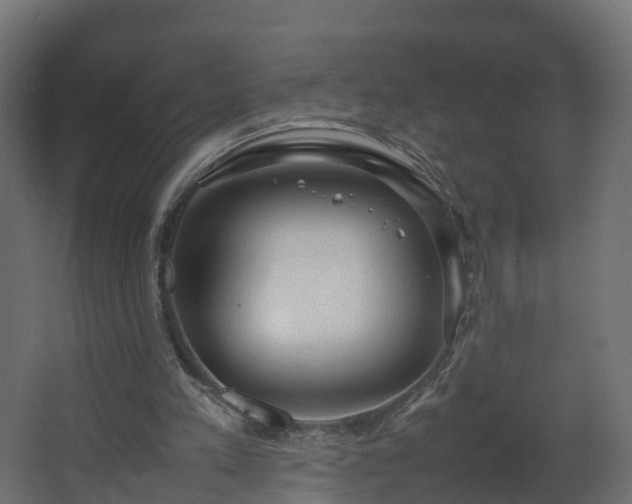 X0000067930197200604201505