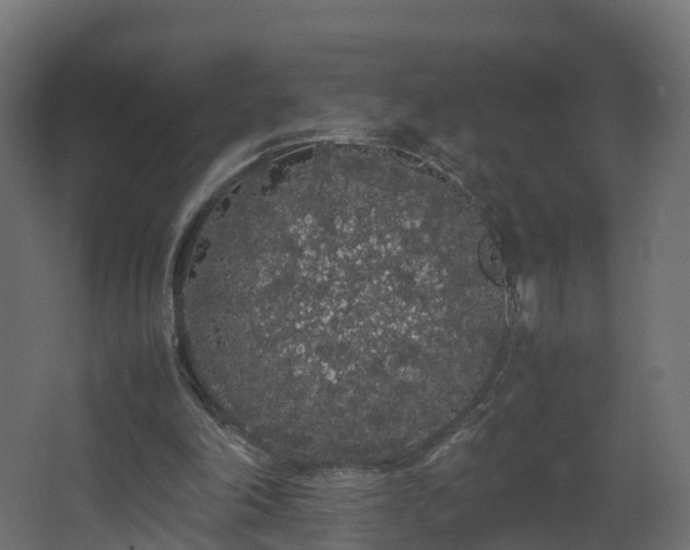 X0000067930198200604201505