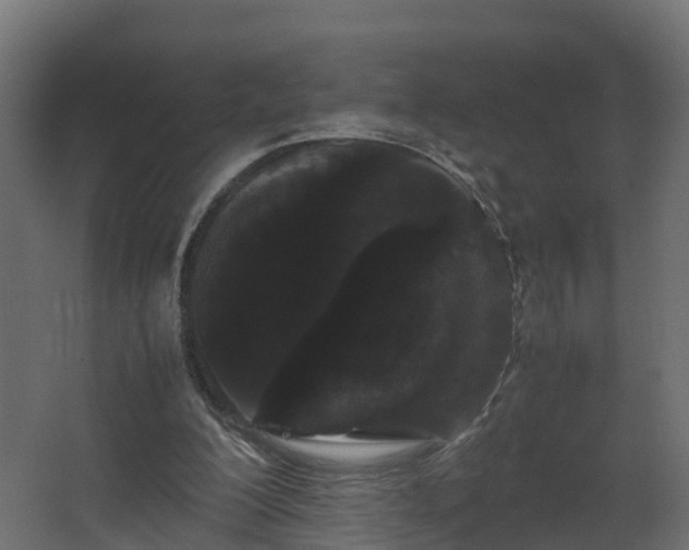 X0000067930200200604201505