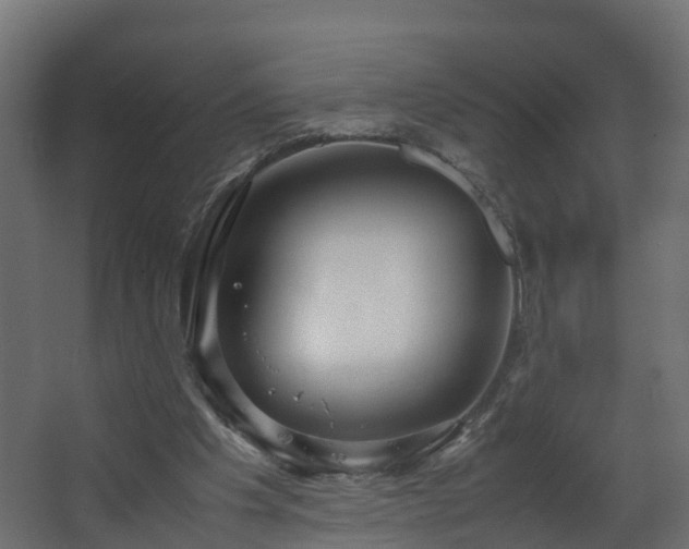 X0000067930201200604201505