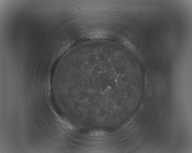 X0000067930202200604201505