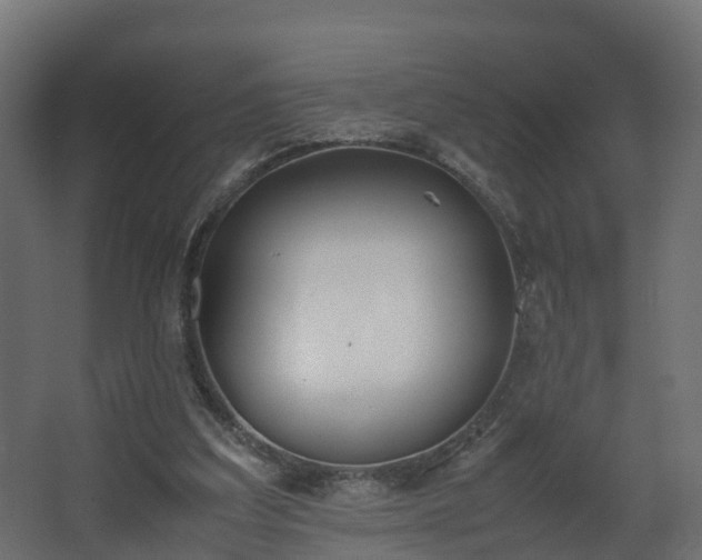 X0000067930203200604201505