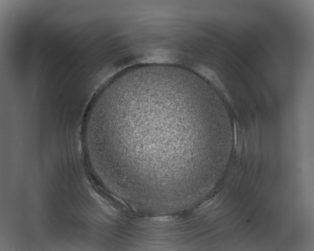 X0000067930204200604201505