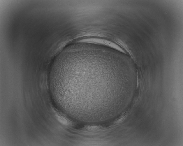 X0000067930205200604201505