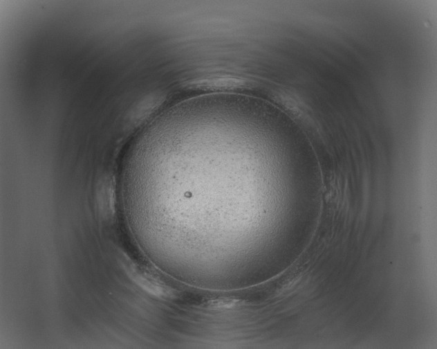 X0000067930206200604201505