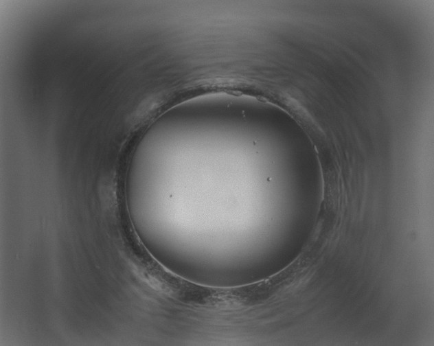 X0000067930207200604201505