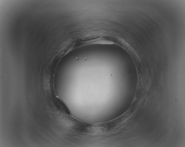 X0000067930209200604201505