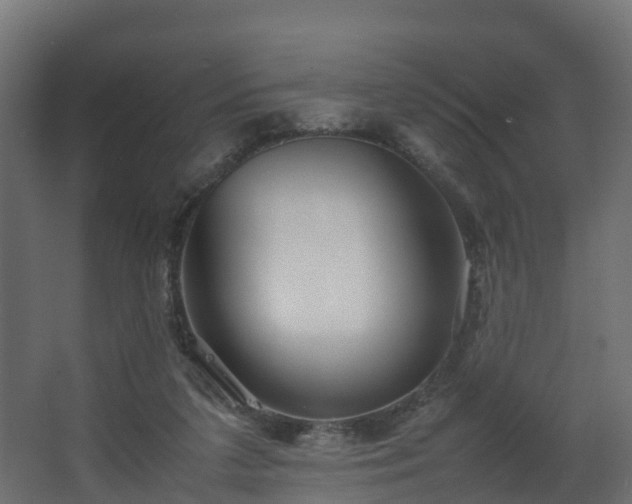 X0000067930211200604201505