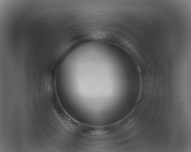 X0000067930212200604201505