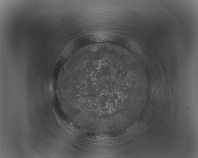 X0000067930214200604201505