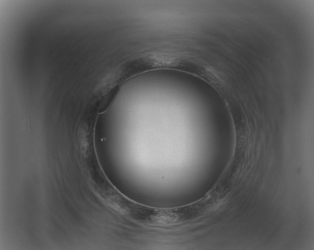 X0000067930215200604201504