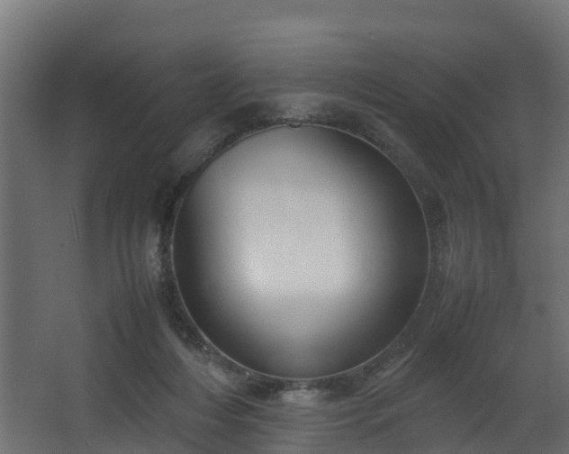 X0000067930216200604201504