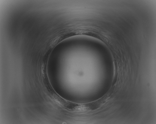 X0000067930219200604201504