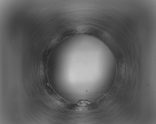 X0000067930220200604201504