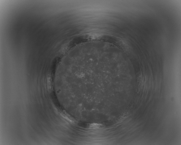 X0000067930222200604201504