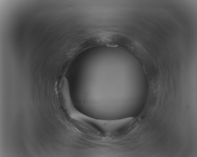 X0000067930223200604201504