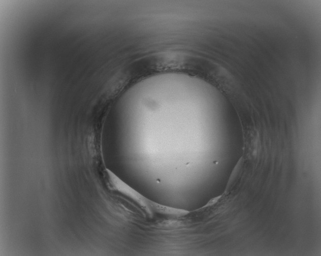 X0000067930224200604201504