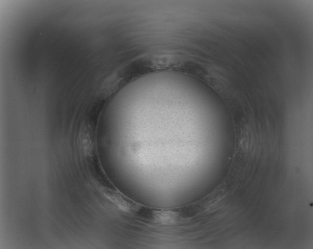 X0000067930226200604201504