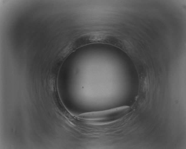 X0000067930227200604201504