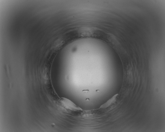 X0000067930228200604201504