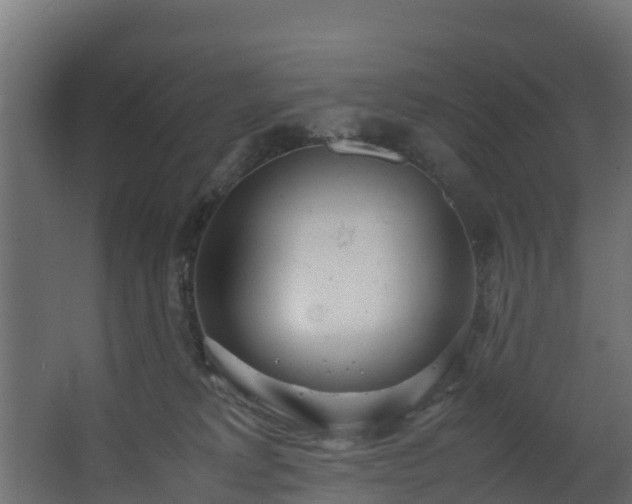 X0000067930229200604201504