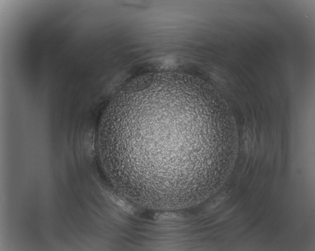 X0000067930230200604201504