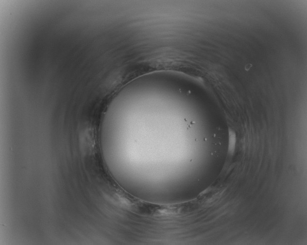 X0000067930232200604201504