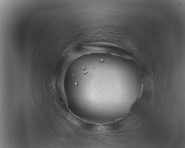 X0000067930233200604201504