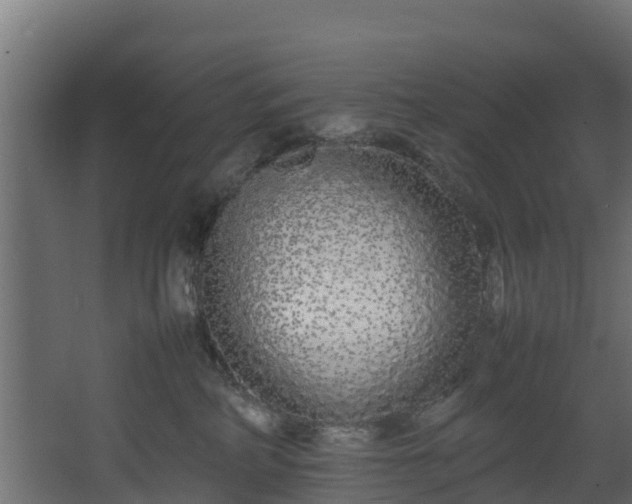 X0000067930234200604201504