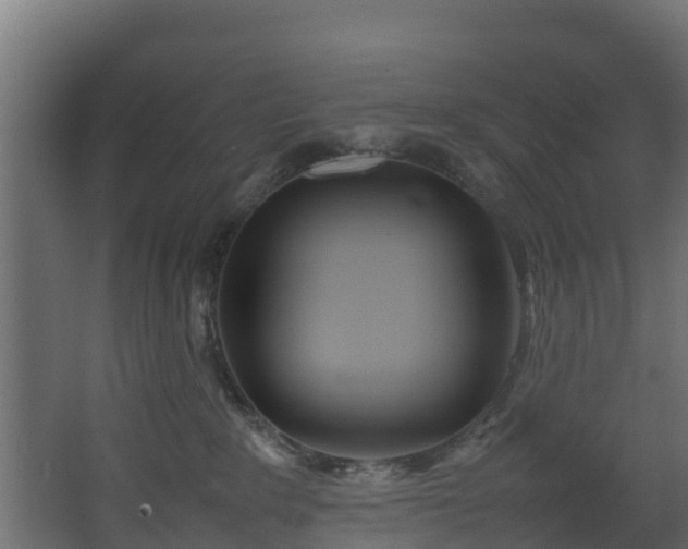 X0000067930235200604201504