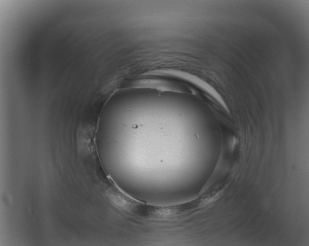 X0000067930237200604201504