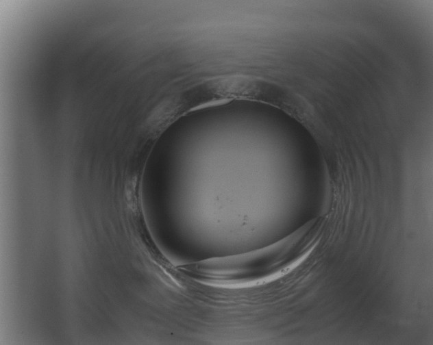 X0000067930239200604201504