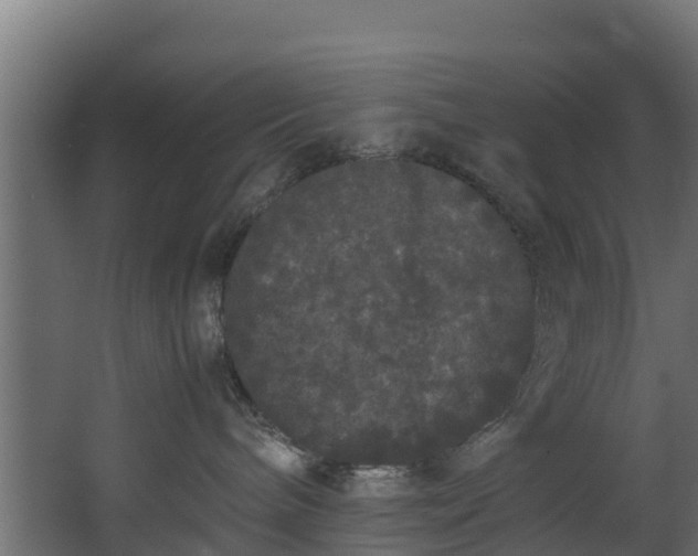 X0000067930240200604201504