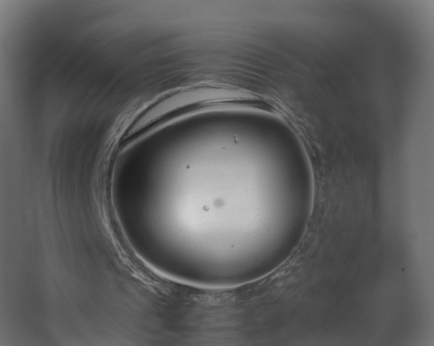 X0000067930241200604201503