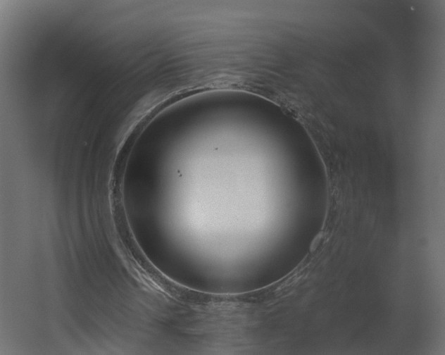 X0000067930242200604201503