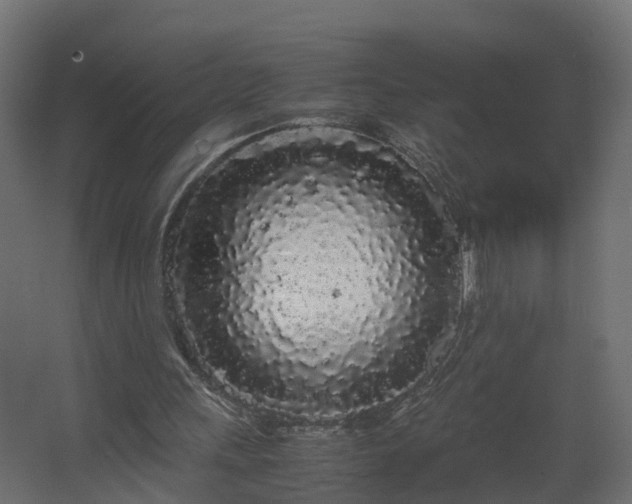 X0000067930243200604201503