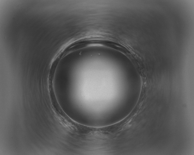 X0000067930244200604201503