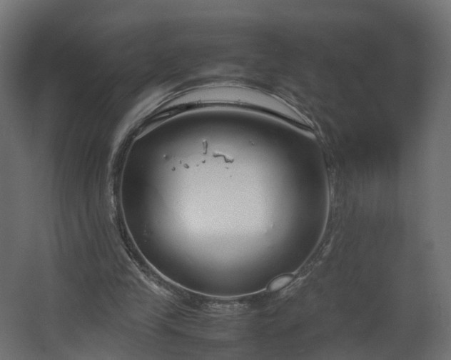 X0000067930245200604201503