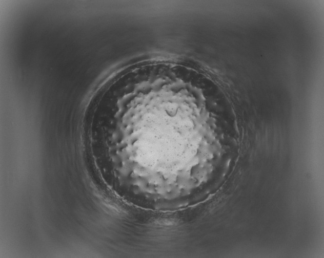 X0000067930247200604201503