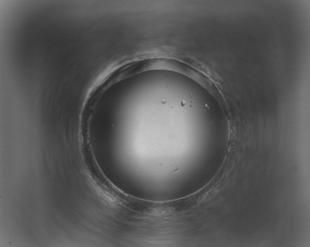 X0000067930248200604201503