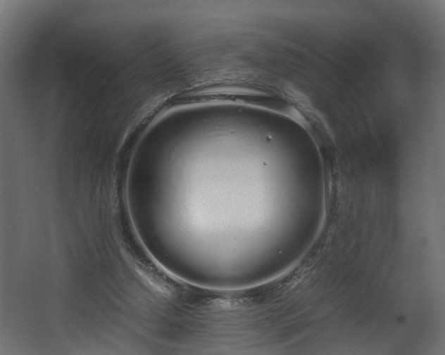 X0000067930250200604201503